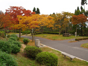 野呂山キャンプ場・オートキャンプ場