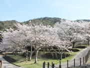 野呂峡やすらぎダム公園