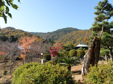 三本松公園