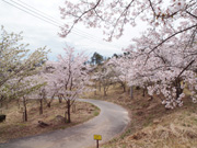 三本松公園