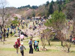 野呂山山開き