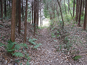 三ヶ峠の塞の神