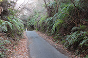 玉伝道路・了玄坂