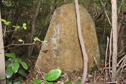 野呂山開拓跡「勧農坂・立小路」