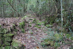 野呂山開拓跡「勧農坂・立小路」