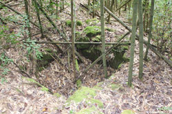 野呂山開拓跡「勧農坂・立小路」