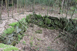 野呂山開拓跡「勧農坂・立小路」