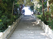 亀山八幡神社