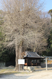 厳島神社（平木明神社）