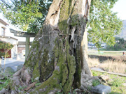 川手神社（河手神社）