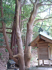 金箱三宝荒神社