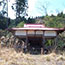 野路神社