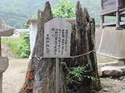 大歳神社