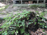 荒神社