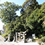亀山八幡神社の社叢