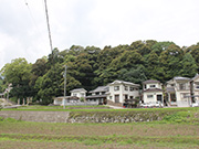 亀山八幡神社の社叢