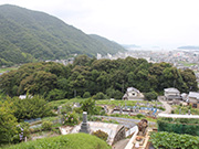 亀山八幡神社の社叢