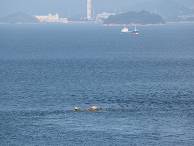 阿弥陀佛の礁(あみだぶのはえ)