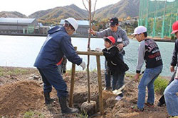 桜植樹イベント