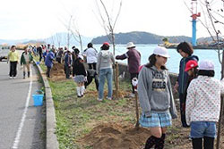 桜植樹イベント